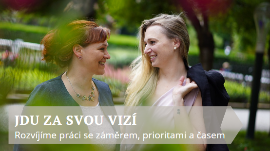 JDU ZA SVOU VIZÍ